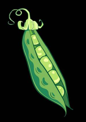 Раскраска горох для детей #23 #253751