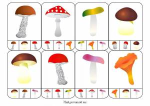 Раскраска грибы для детей 3 4 лет #10 #255272