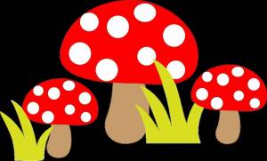 Раскраска грибы для детей 3 4 лет #24 #255286