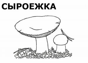 Раскраска грибы для детей 6 7 лет #9 #255300