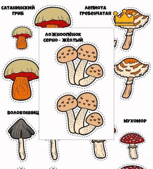 Раскраска грибы для детей 6 7 лет #16 #255307