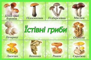 Раскраска грибы для детей 6 7 лет #22 #255313