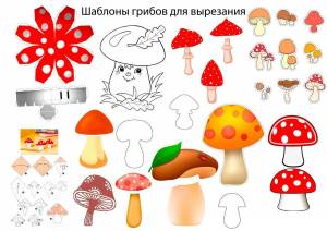 Раскраска грибы для детей 6 7 лет #25 #255316