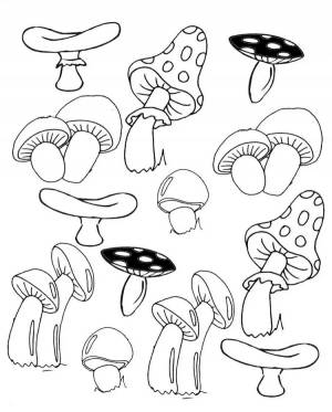 Раскраска грибы для детей 6 7 лет #30 #255321