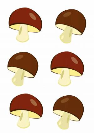 Раскраска грибы для детей 6 7 лет #34 #255325