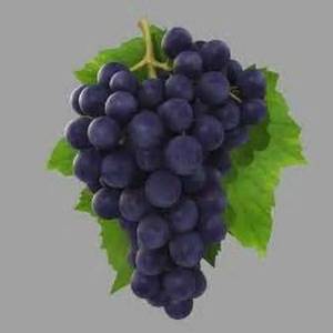 Раскраска гроздь винограда #16 #255589