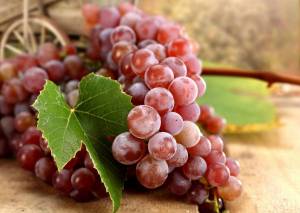 Раскраска гроздь винограда #36 #255609