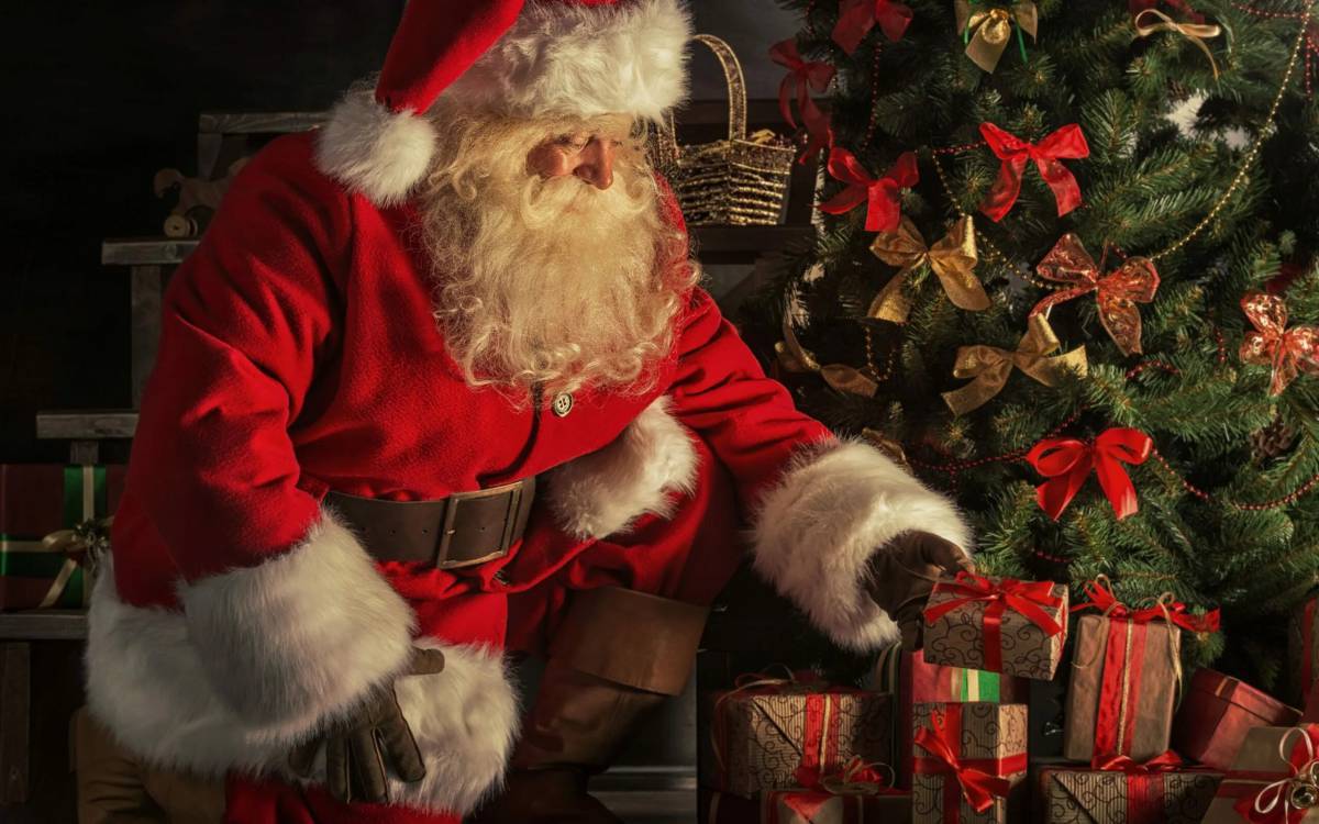 Дед мороз с подарками #27