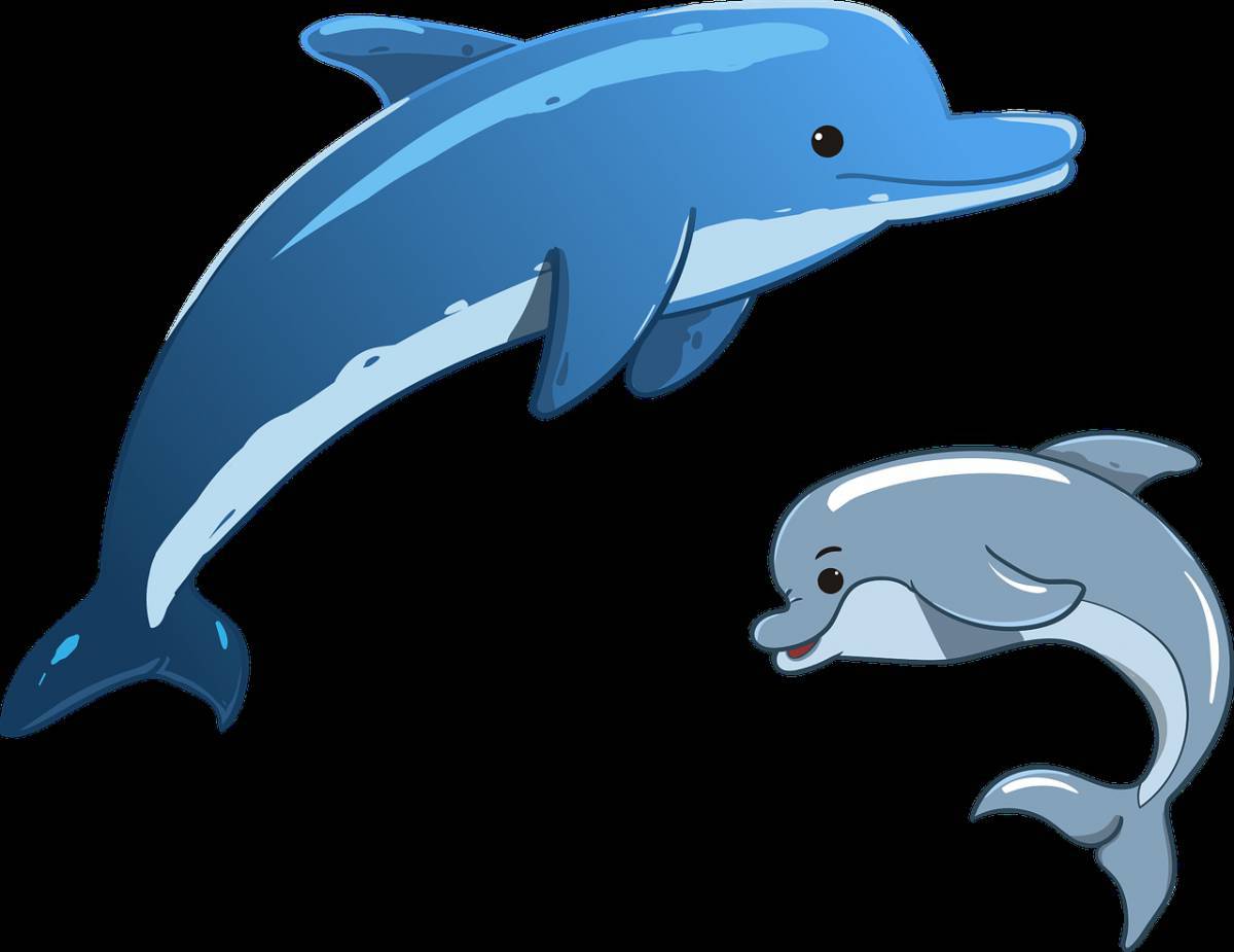 Дельфинчик для детей #11