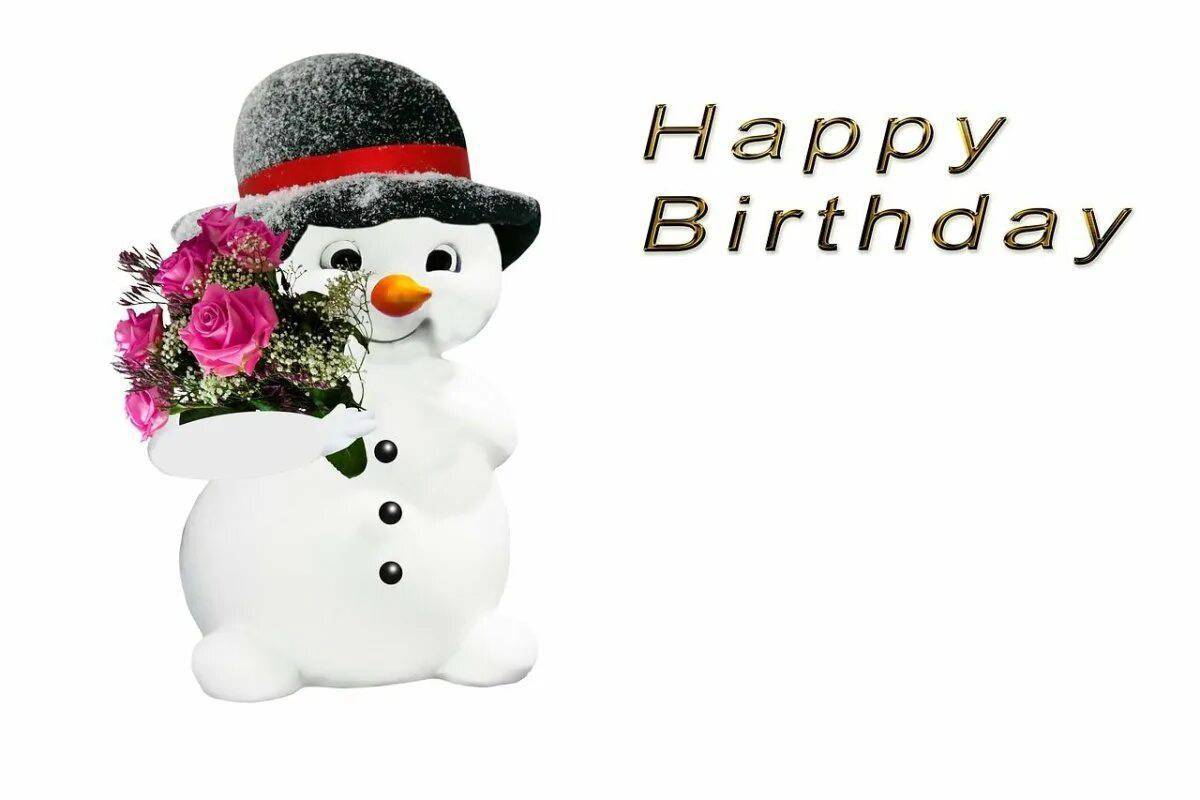 День рождения снеговика #4
