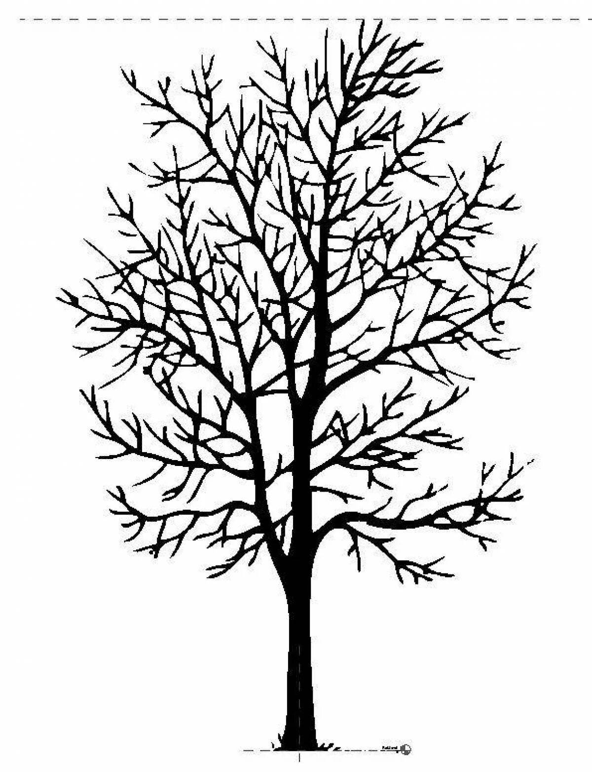 Дерево без листьев для детей 3 4 лет #34