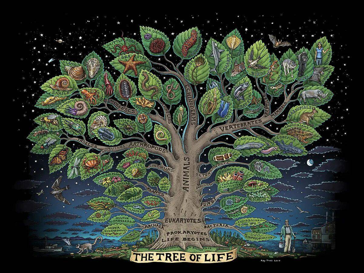 Дерево жизни #27