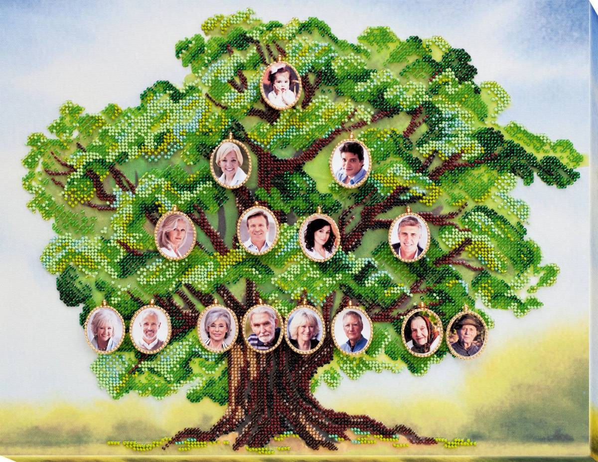 Дерево семьи #12