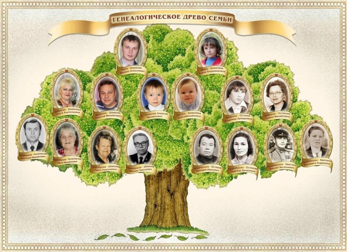 Дерево семьи #17