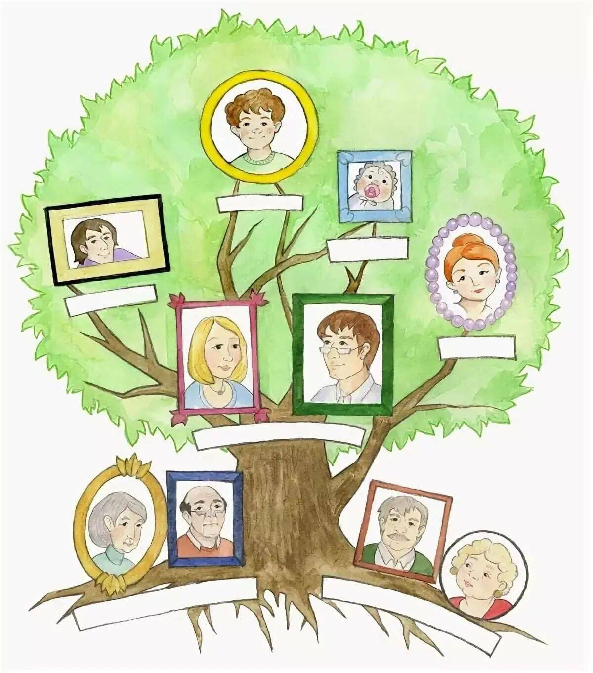 Дерево семьи #35
