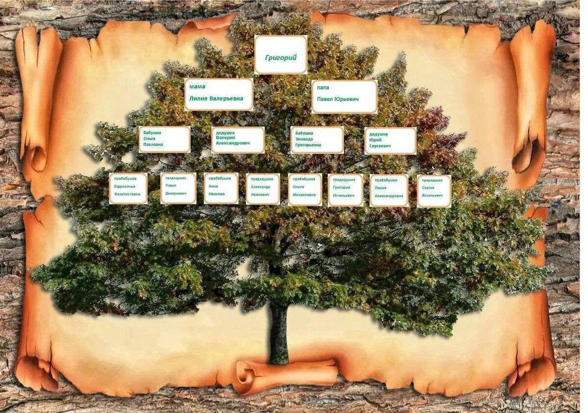 Дерево шаблон для заполнения родословное #17