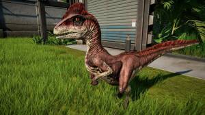 Раскраска дейноних #38 #261767