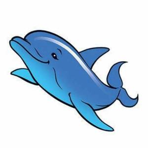 Раскраска дельфинчик для детей #19 #262018