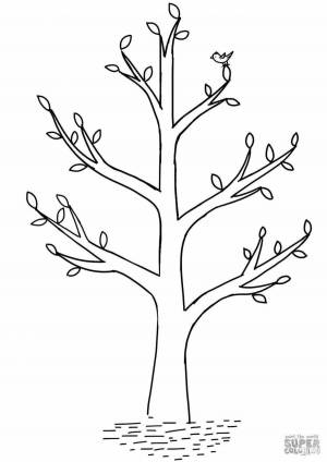 Раскраска дерево без листьев для детей 3 4 лет #11 #262928