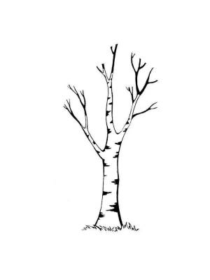 Раскраска дерево без листьев для детей 3 4 лет #17 #262934