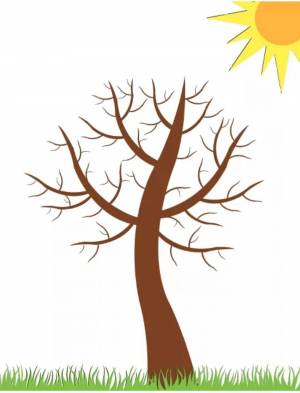 Раскраска дерево без листьев для детей 3 4 лет #23 #262940