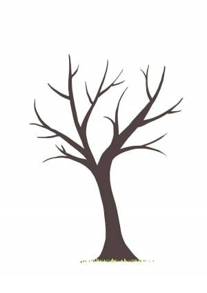 Раскраска дерево без листьев для детей 3 4 лет #24 #262941