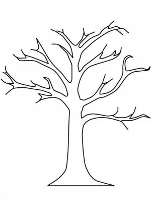Раскраска дерево без листьев для детей 3 4 лет #26 #262943