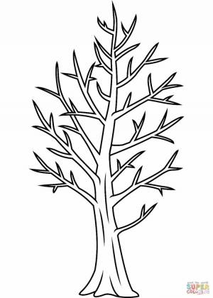 Раскраска дерево без листьев для детей 3 4 лет #27 #262944