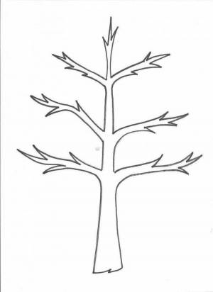 Раскраска дерево без листьев для детей 3 4 лет #28 #262945