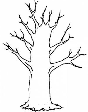 Раскраска дерево без листьев для детей 3 4 лет #31 #262948
