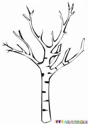 Раскраска дерево без листьев для детей 3 4 лет #35 #262952