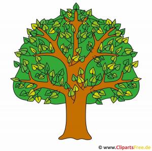 Раскраска дерево для детей 2 3 лет #26 #262981