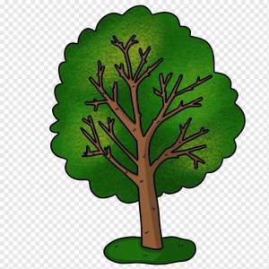 Раскраска дерево для детей 2 3 лет #38 #262993
