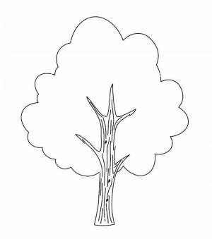 Раскраска дерево для детей 3 4 лет #3 #262996