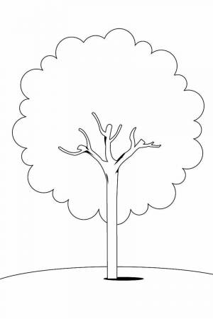 Раскраска дерево для детей 3 4 лет #13 #263006