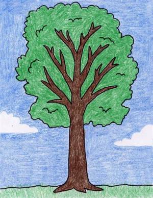 Раскраска дерево для детей 5 6 лет #18 #263049