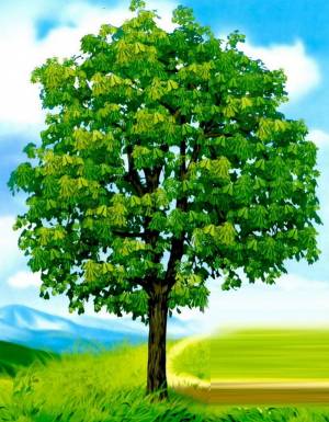 Раскраска дерево для детей 5 6 лет #28 #263059