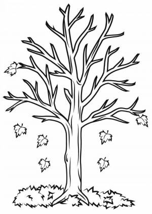 Раскраска дерево для детей шаблон #28 #263096