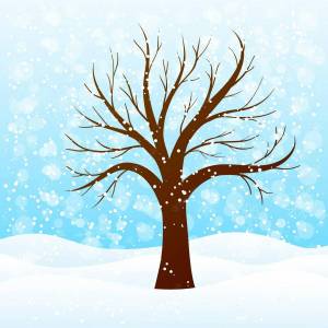 Раскраска дерево зимой для детей #5 #263185