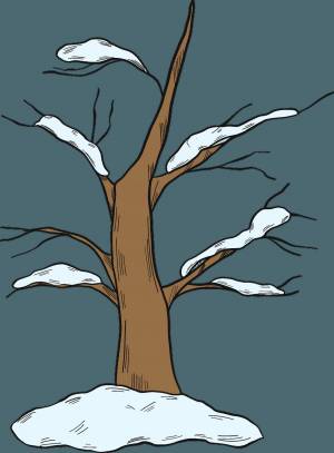 Раскраска дерево зимой для детей #34 #263214