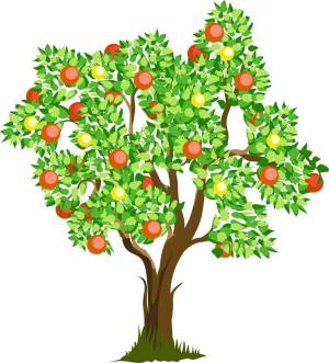 Раскраска дерево с яблоками #20 #263302