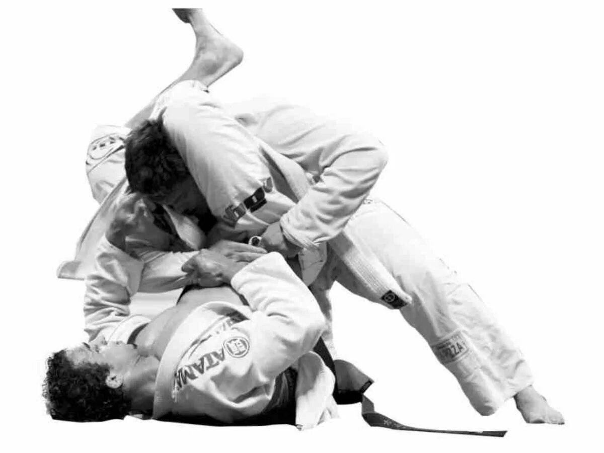 Дружба народов джиу джитсу. Джиу джитсу грэпплинг. Jiu-Jitsu бразильское. Треугольник джиу-джитсу. Борьба БЖЖ.