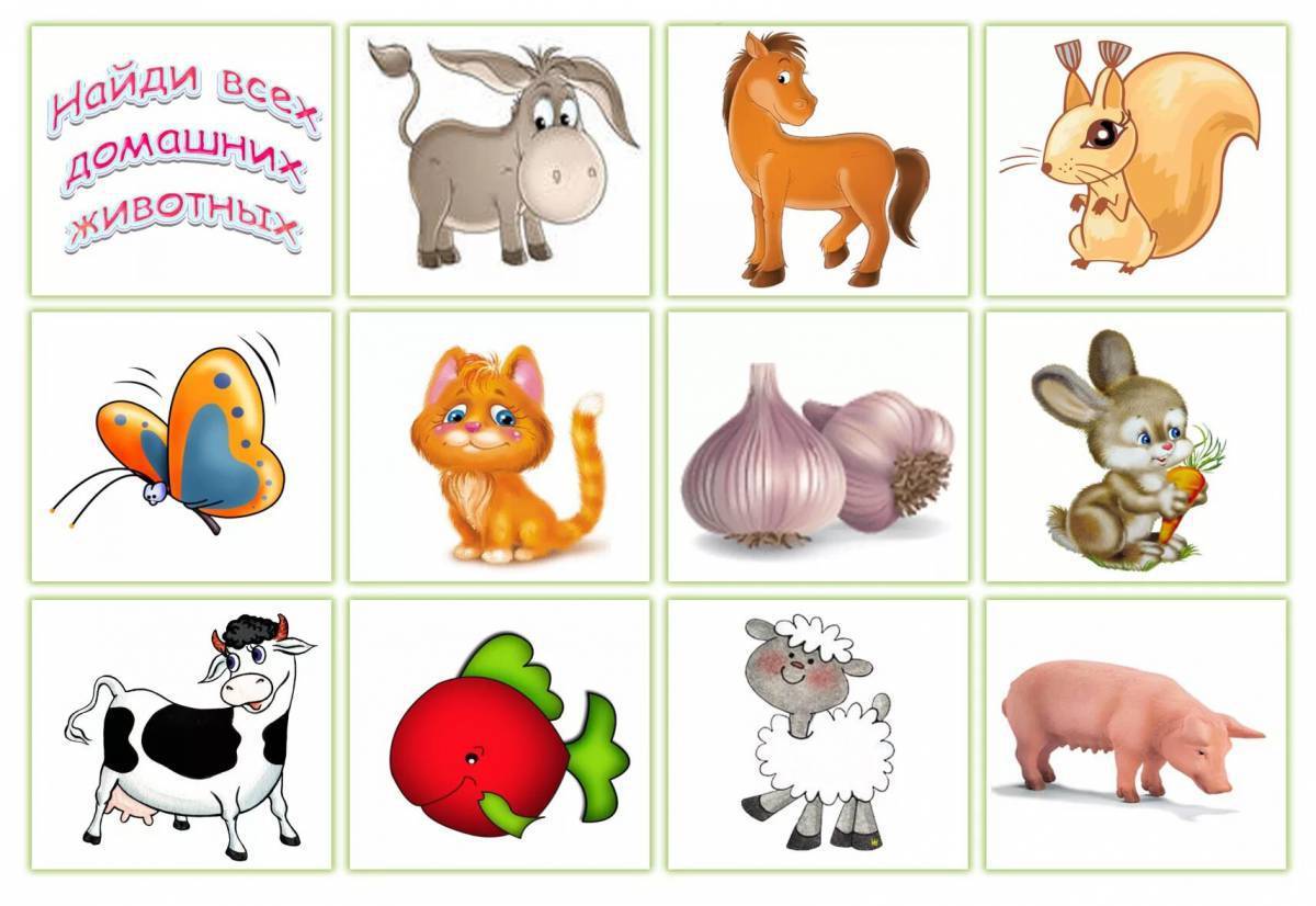 Игра животные для детей картинки. Карточки с животными для детей. Изображения домашних животных для детей. Звери карточки для детей. Малыши. Домашние животные.