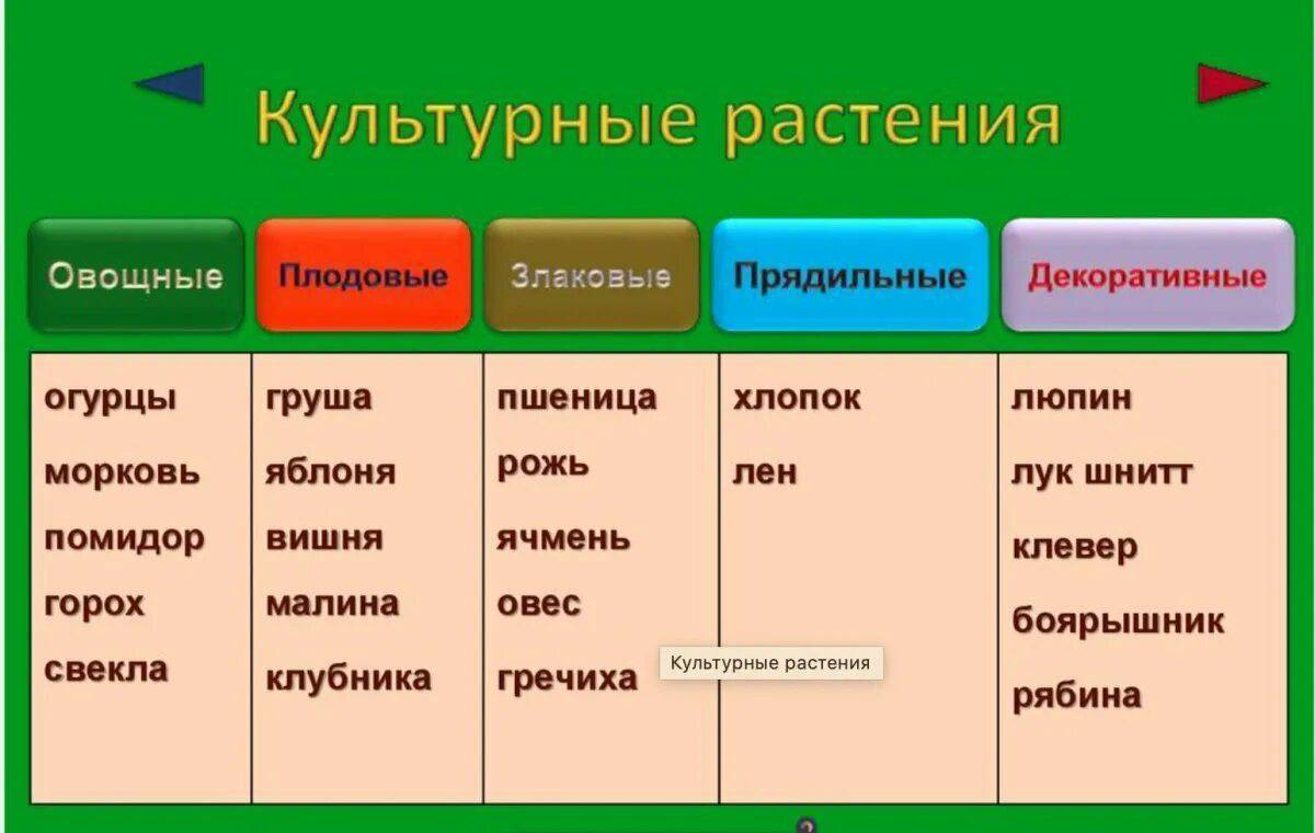 Вспомни какие еще группы культурных растений ты знаешь напиши используя рисунки как подсказки