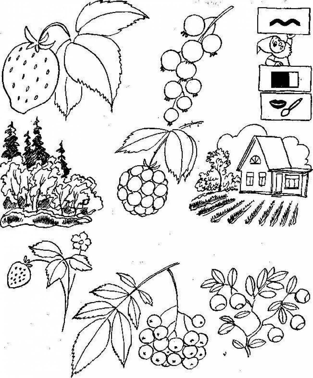 Культурные растения нарисовать. Лесные ягоды задания для дошкольников. Задание на тему растения сада. Задание для детей лес ягоды. Растения сада задания для детей.