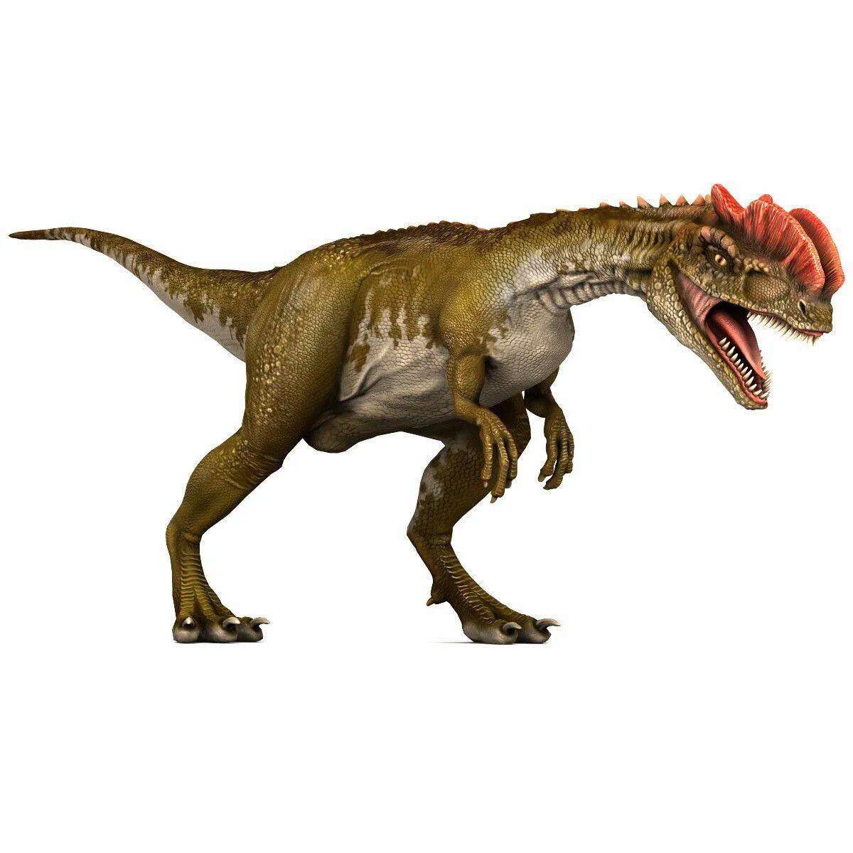 Дилофозавр #5
