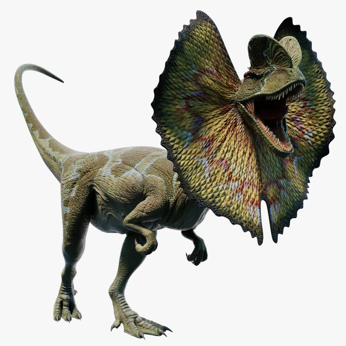 Дилофозавр #8