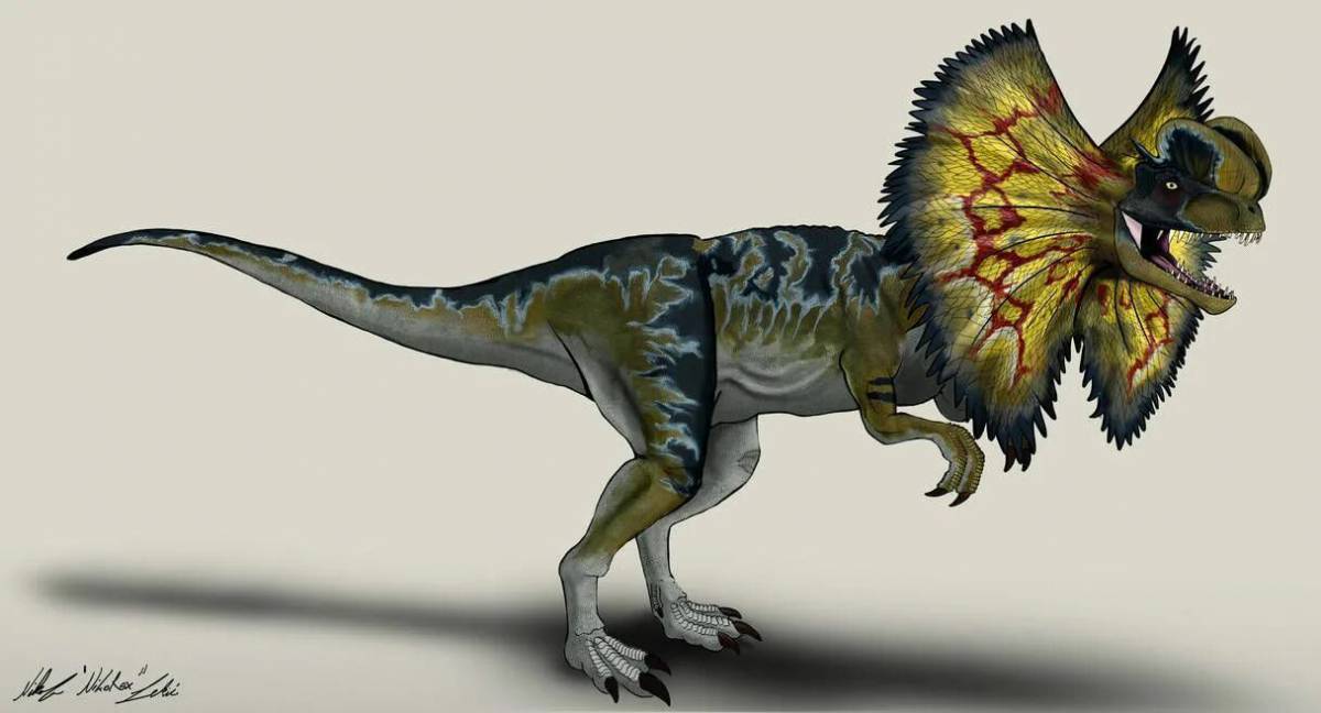 Дилофозавр #10