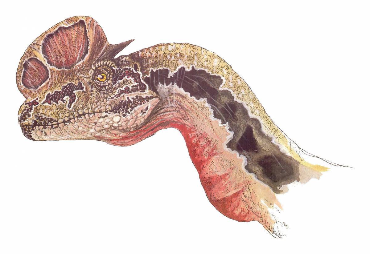 Дилофозавр #20