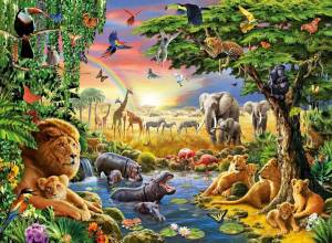 Раскраска джунгли с животными #5 #266971